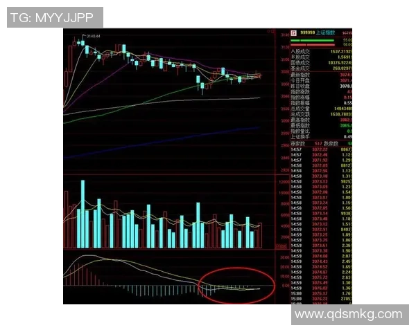 深圳羽毛球队与武汉羽毛球队赛后复盘分析比赛节奏与战术对决
