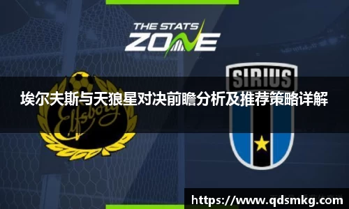 埃尔夫斯与天狼星对决前瞻分析及推荐策略详解